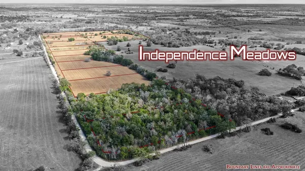 $84,908 | Lot 2 County Road 229, Bedias, TX 77831