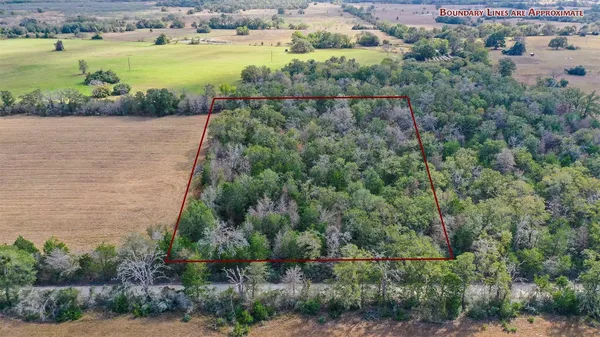 $84,908 | Lot 2 County Road 229, Bedias, TX 77831