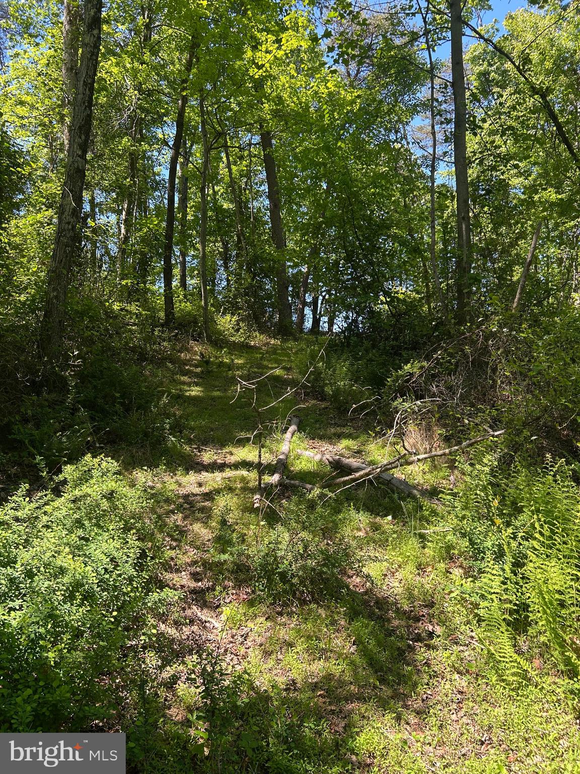 South Timber Ridge Road Cross Junction, VA 22625 - Photo 8 of 32