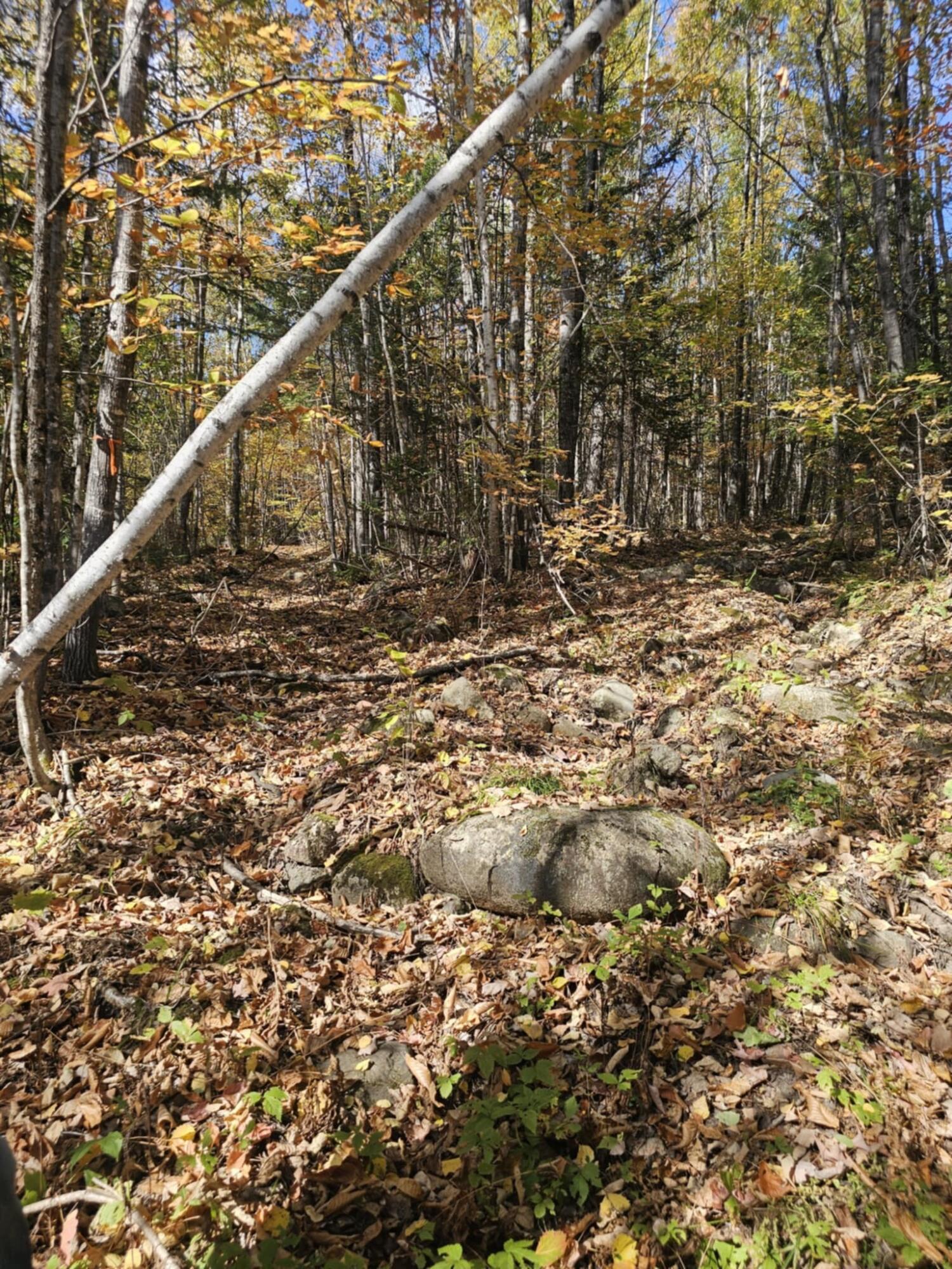 5 Map Road Phillips, ME 04966 - Photo 7 of 13