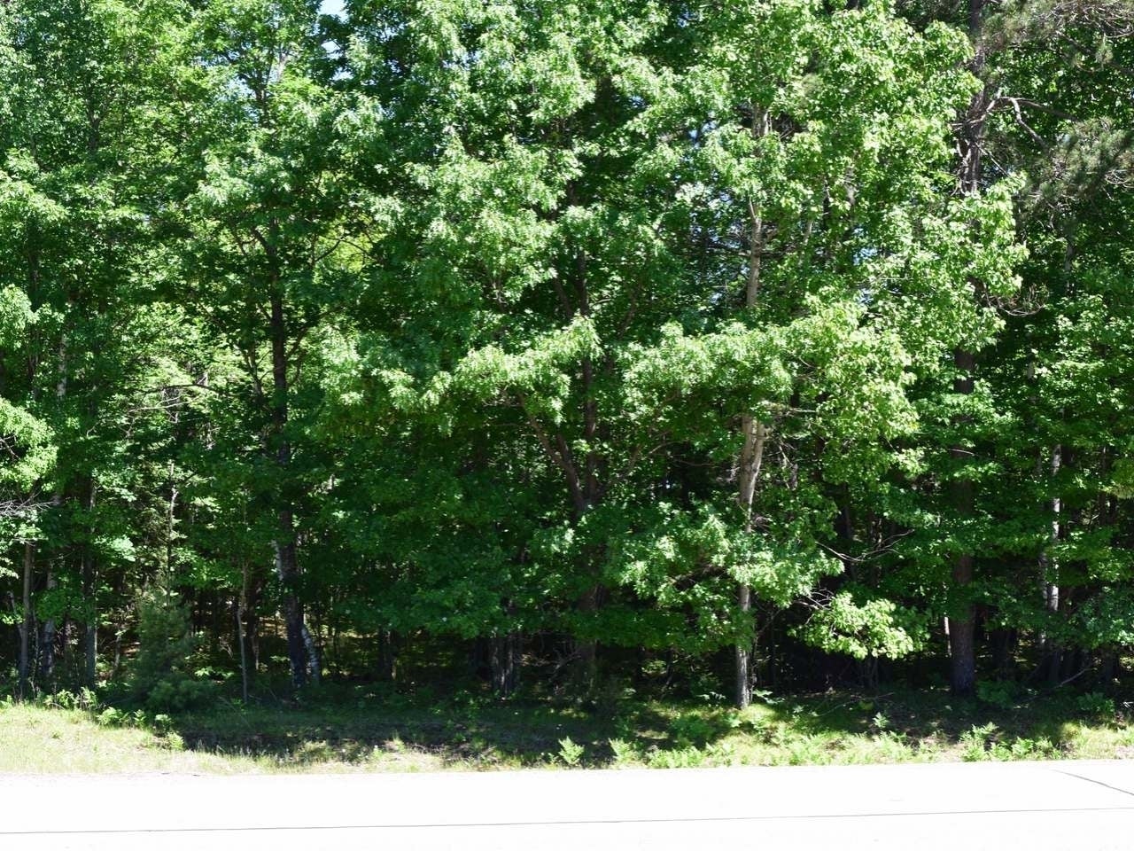 On On Cth C, Unit LOT 3 Rhinelander, WI 54501 - Photo 14 of 16 Gallery Image 14