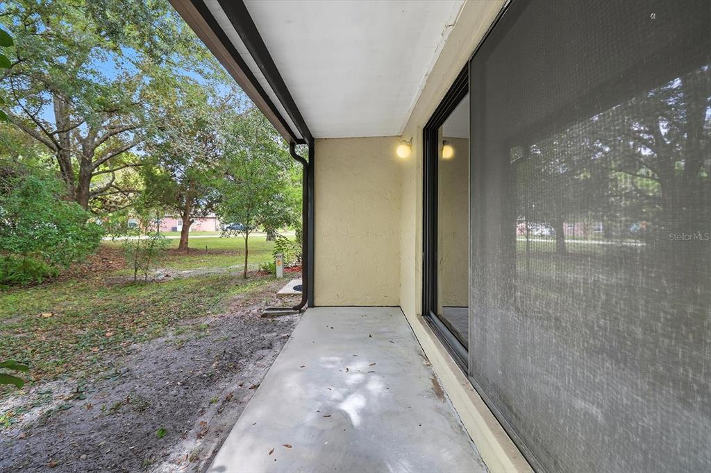 25 Jamaica Street Homosassa, FL 34446 - Photo 43 of 49 a view of a big yard with large trees and plants