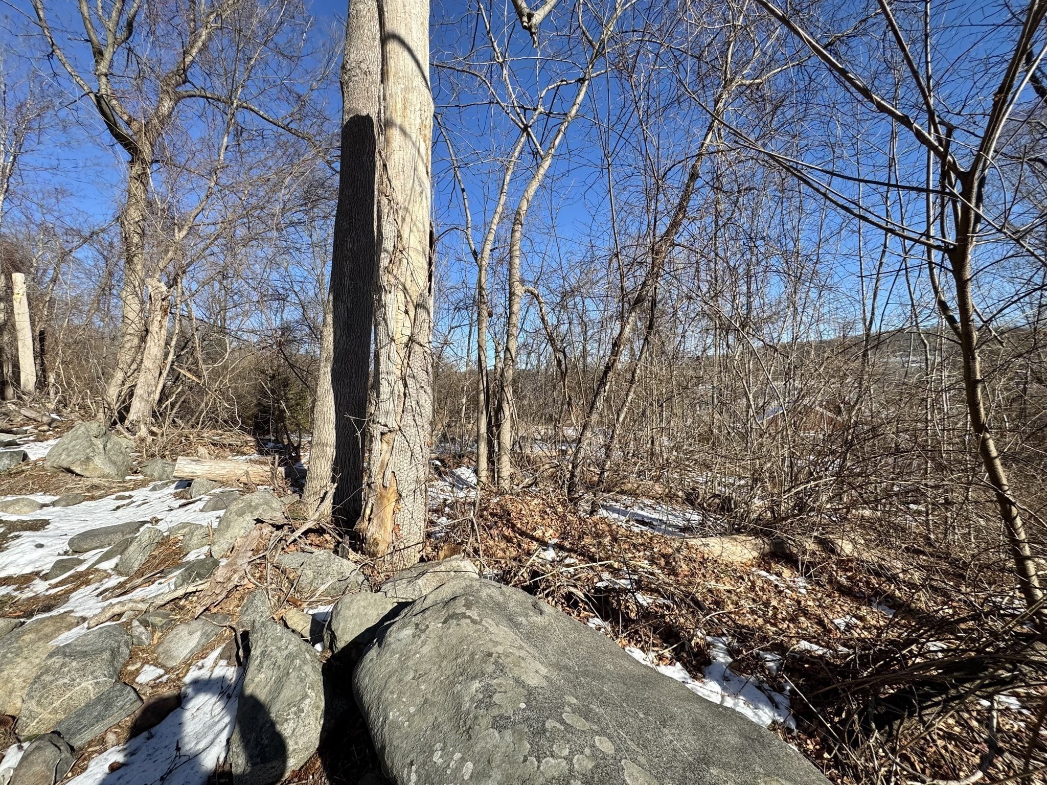 130 Stebbins Road Monson, MA 01057 - Photo 5 of 17 Gallery Image 5