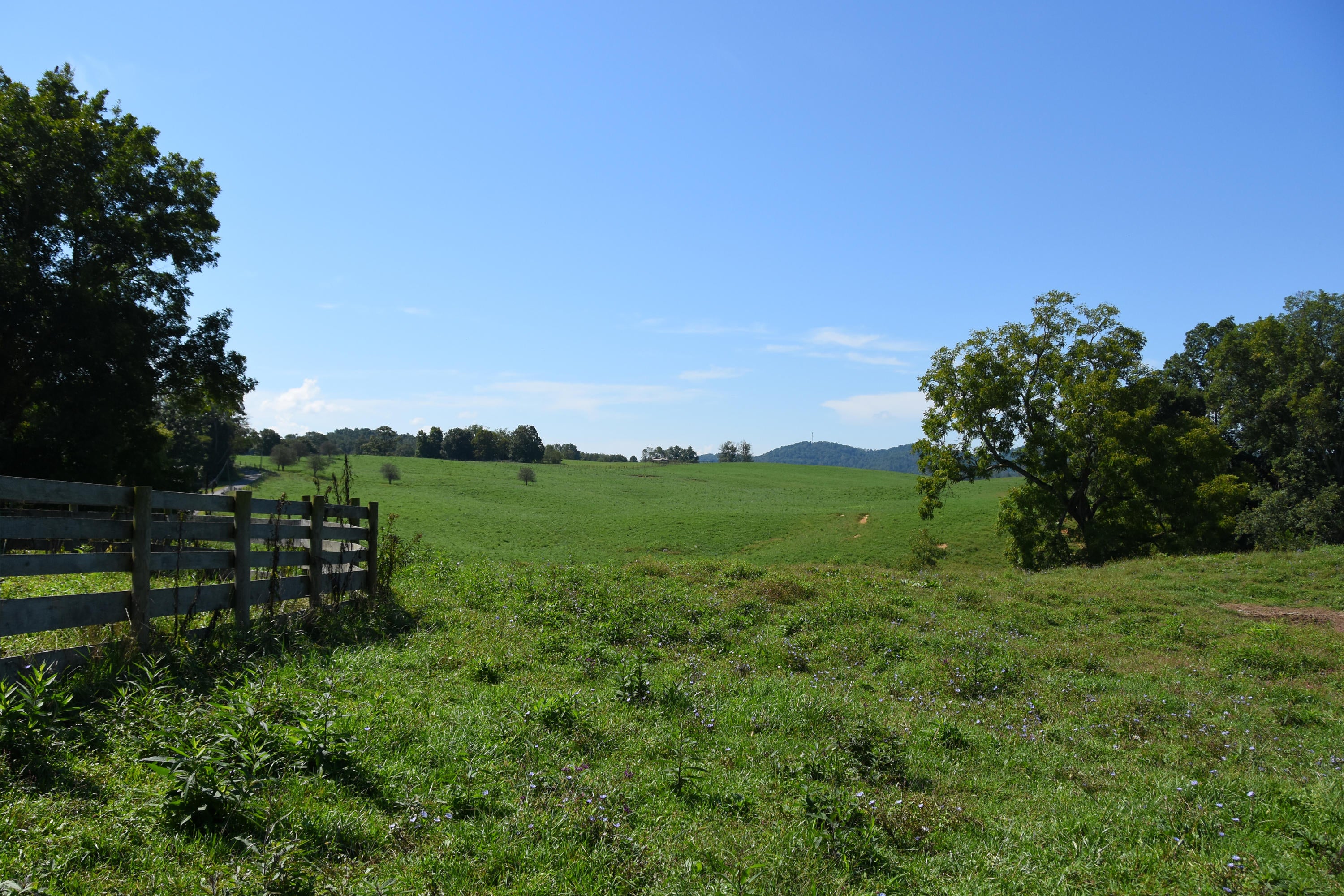 4709 Spring Creek Station Road Renick, WV 24966 - Photo 22 of 77 Gallery Image 22