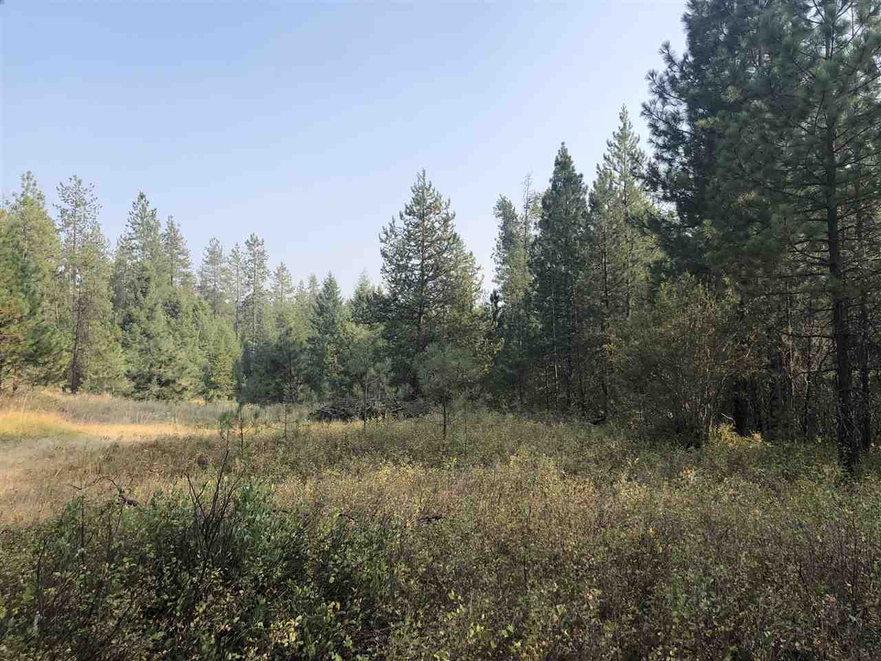 Tbd East Bridges Road Elk, WA 99009 - Photo 1 of 12