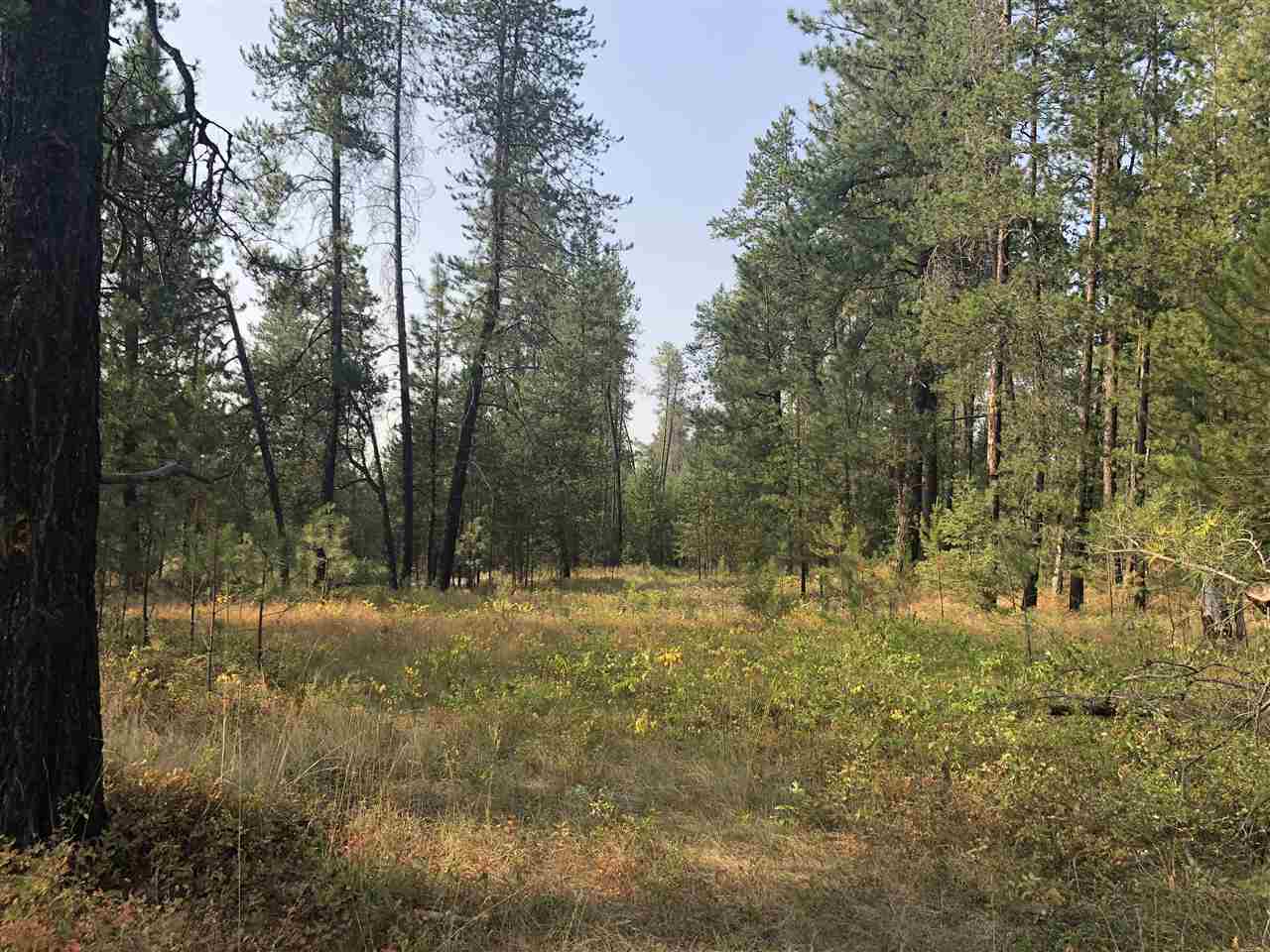 Tbd East Bridges Road Elk, WA 99009 - Photo 2 of 12