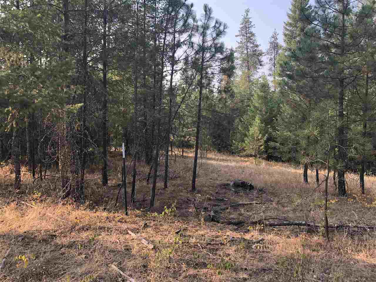 Tbd East Bridges Road Elk, WA 99009 - Photo 8 of 12
