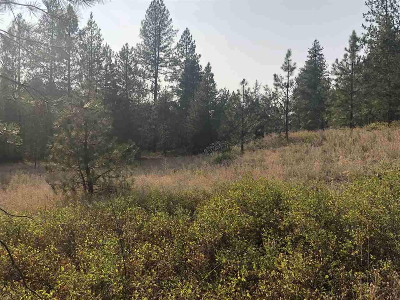 Tbd East Bridges Road Elk, WA 99009 - Photo 9 of 12