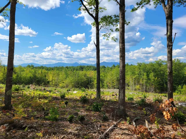 $175,000 | 238-1-1.2 Maple Grove Road, Madison, NH 03849
