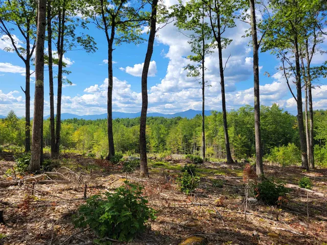 $175,000 | 238-1-1.2 Maple Grove Road, Madison, NH 03849