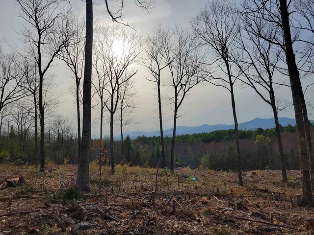 $175,000 | 238-1-1.2 Maple Grove Road, Madison, NH 03849