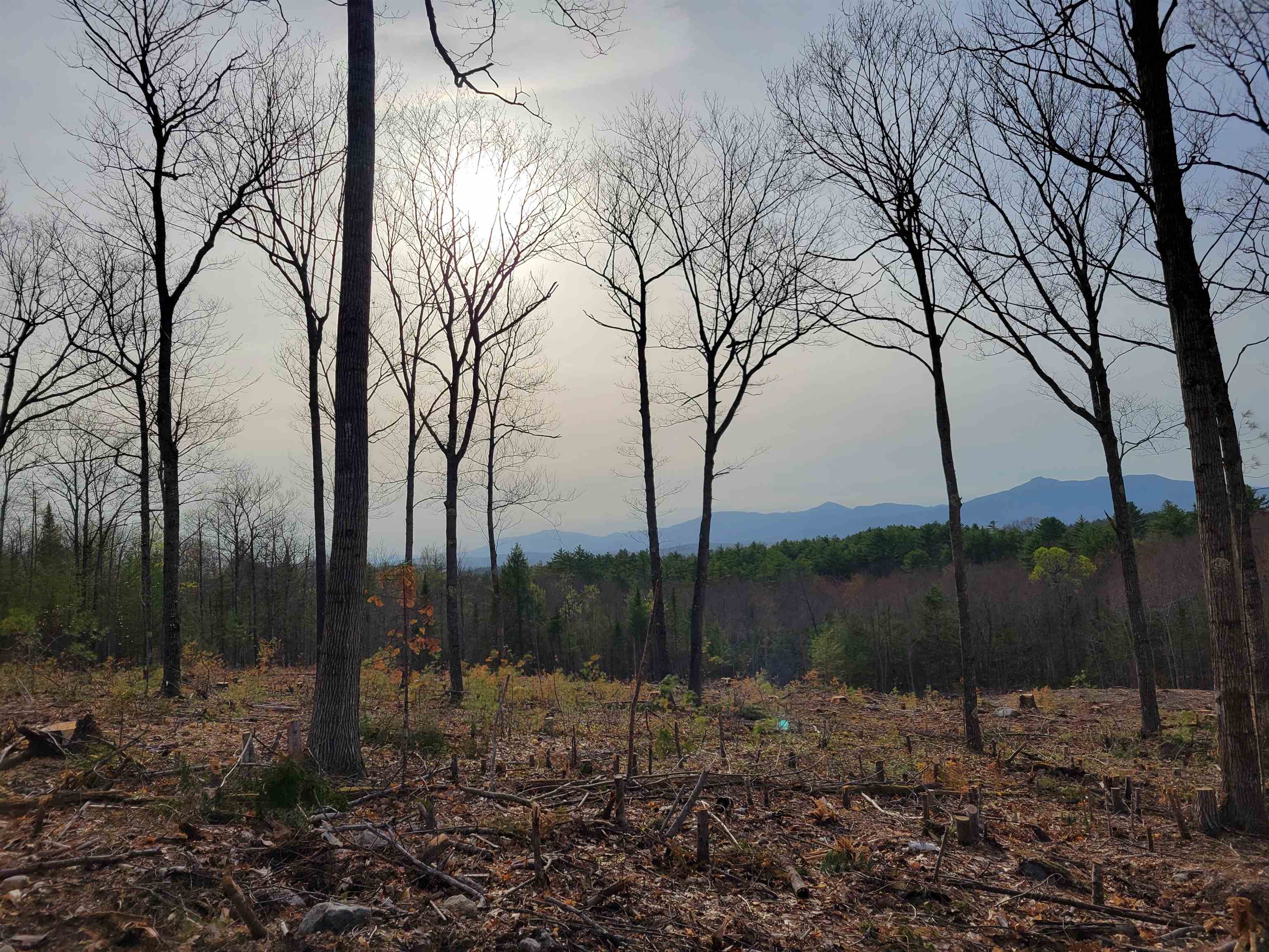 238-1-1.2 Maple Grove Road Madison, NH 03849 - Photo 3 of 3
