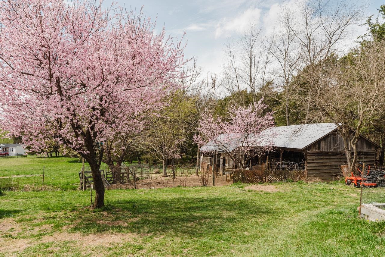 1792 Fadley Road Weyers Cave, VA 24486 - Photo 57 of 73 Gallery Image 57