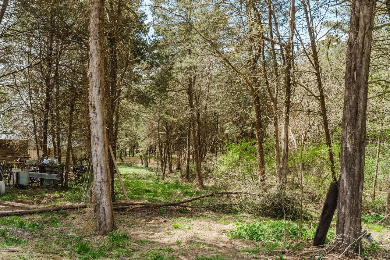 1792 Fadley Road Weyers Cave, VA 24486 - Photo 68 of 73 Gallery Image 68
