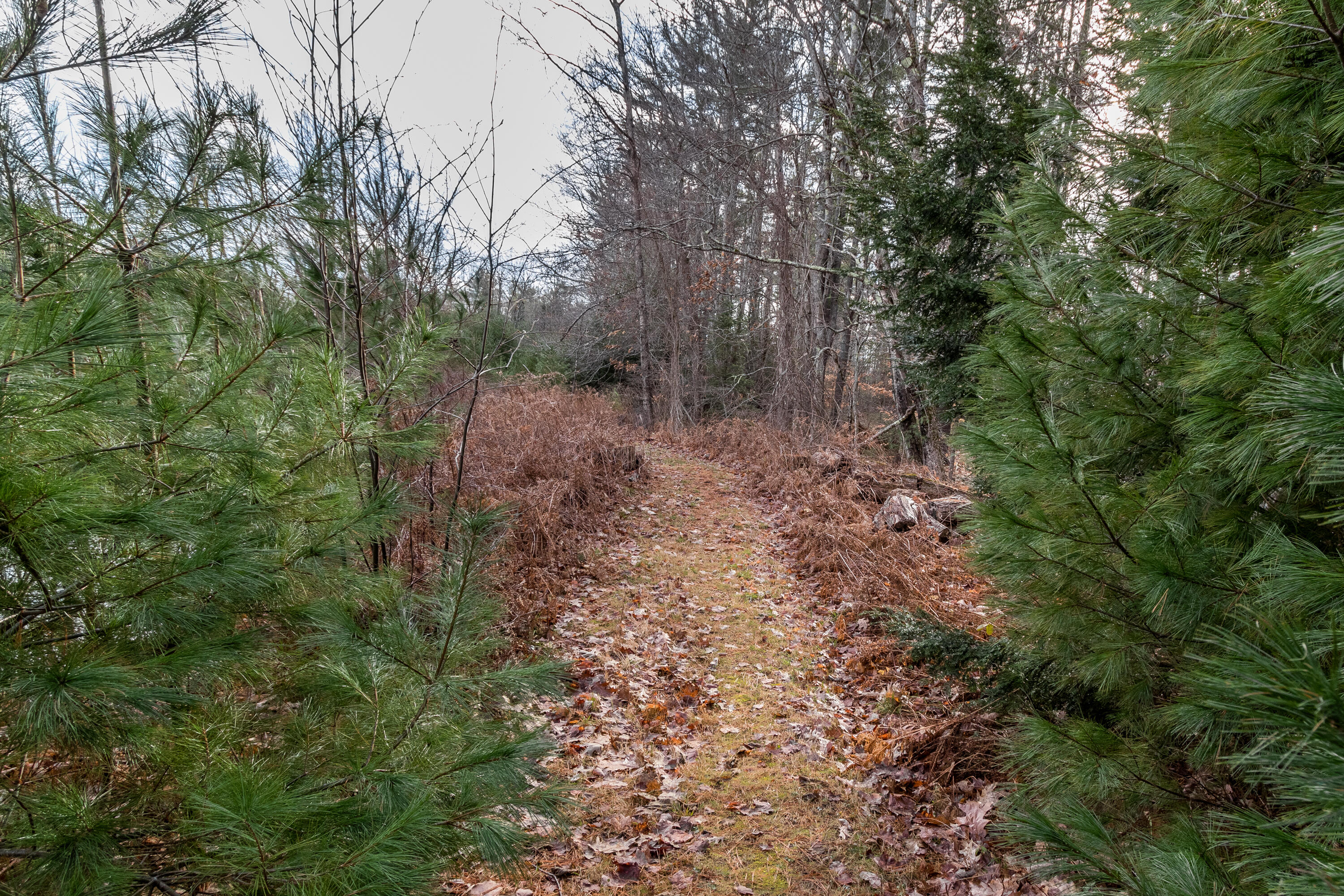 560 Cape Road Standish, ME 04084 - Photo 44 of 111 20221201TR-71094