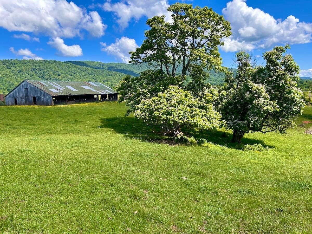 127 Albert Farm Road Monroe, VA 24574 - Photo 24 of 98 a view of an outdoor space and a yard