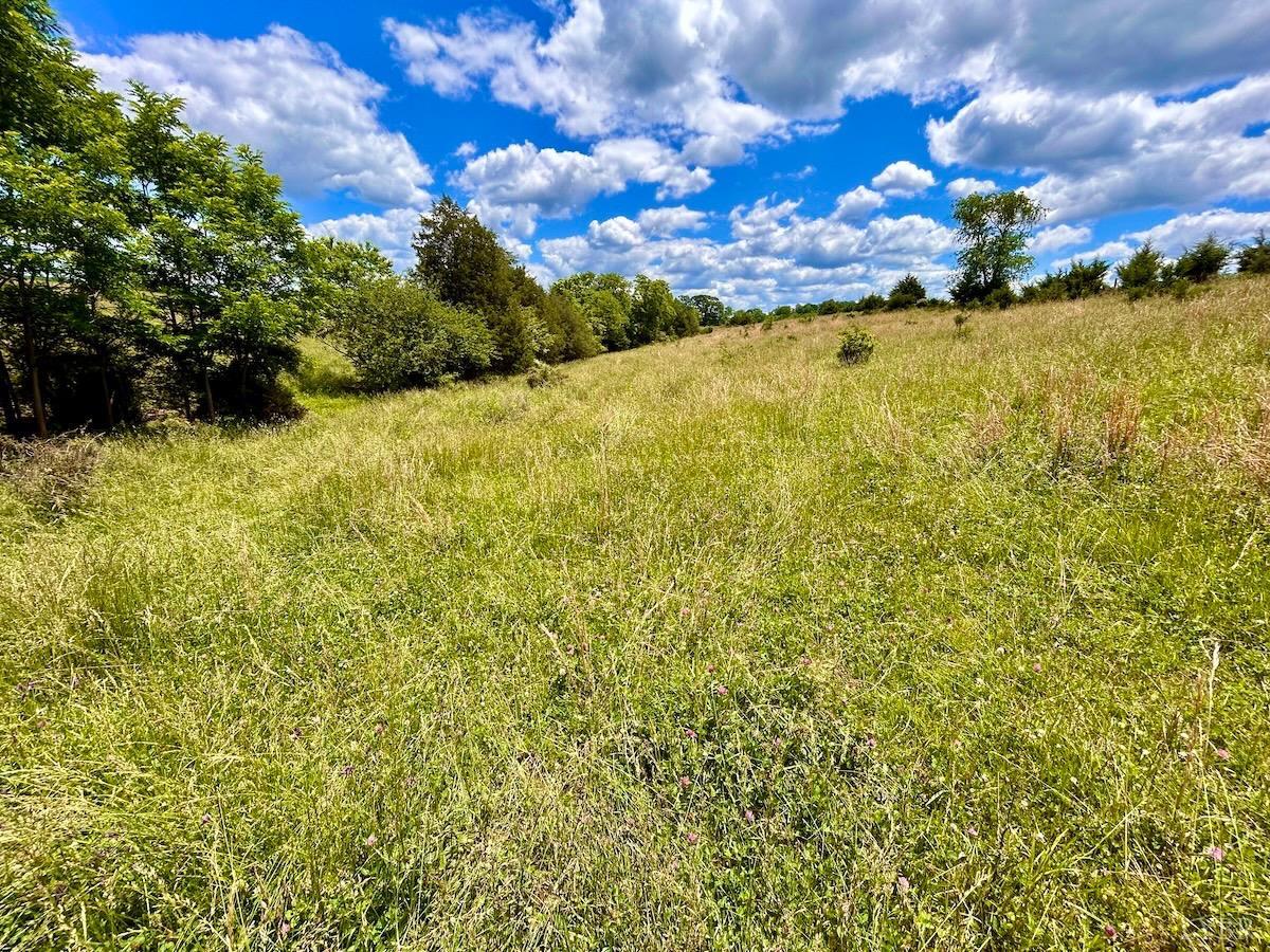 127 Albert Farm Road Monroe, VA 24574 - Photo 43 of 98