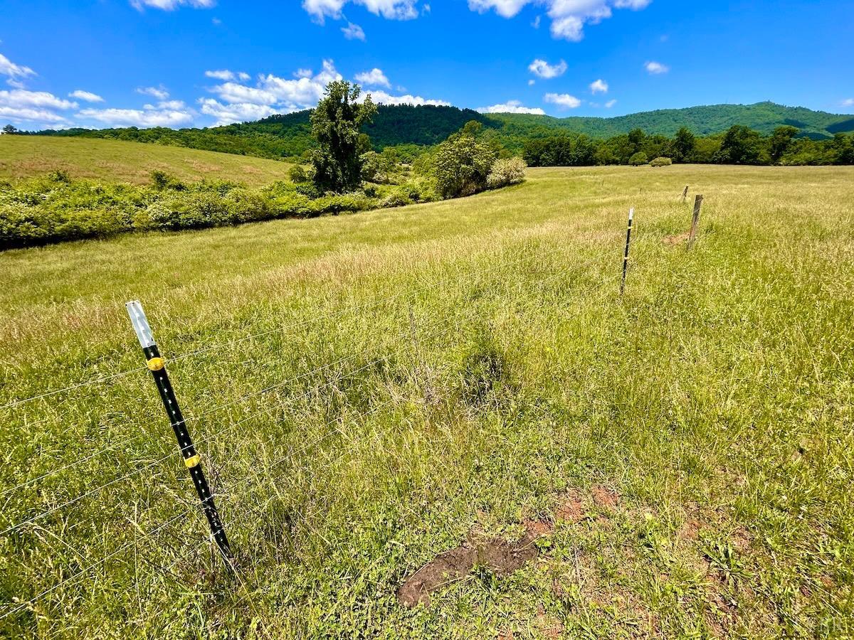 127 Albert Farm Road Monroe, VA 24574 - Photo 45 of 98