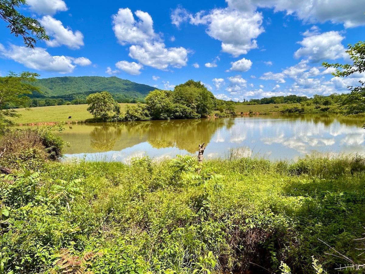 127 Albert Farm Road Monroe, VA 24574 - Photo 54 of 98 a view of a lake with houses in the back