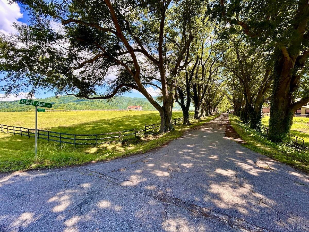 127 Albert Farm Road Monroe, VA 24574 - Photo 6 of 98