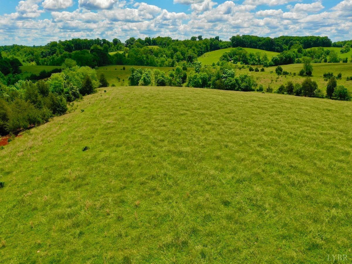 127 Albert Farm Road Monroe, VA 24574 - Photo 72 of 98 a view of an outdoor space and a yard