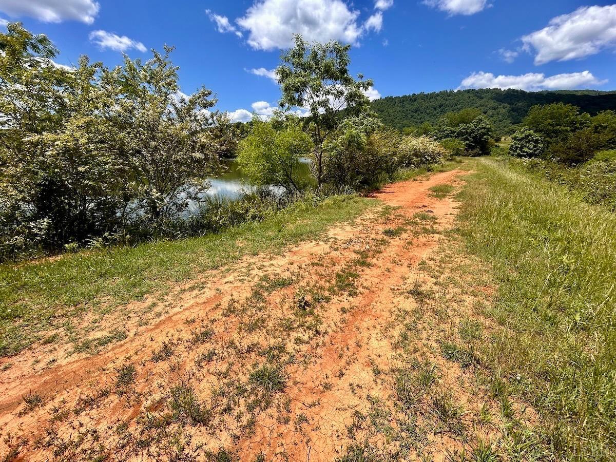 127 Albert Farm Road Monroe, VA 24574 - Photo 82 of 98