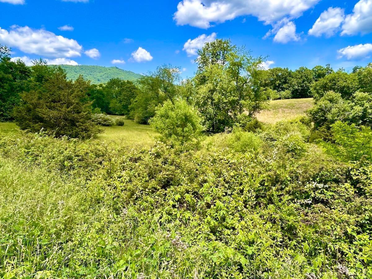 127 Albert Farm Road Monroe, VA 24574 - Photo 89 of 98