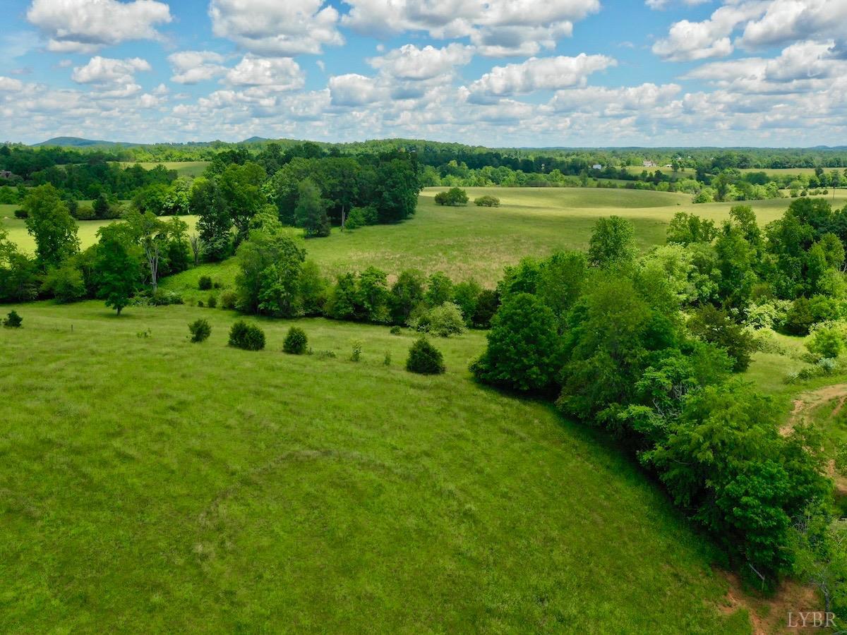 127 Albert Farm Road Monroe, VA 24574 - Photo 90 of 98 a view of a green field with trees in the background