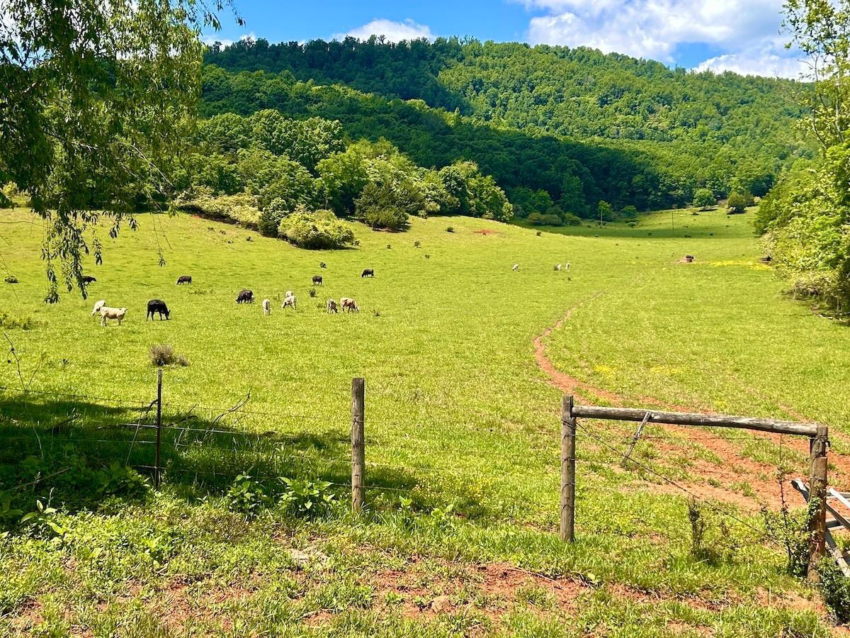 127 Albert Farm Road Monroe, VA 24574 - Photo 91 of 98