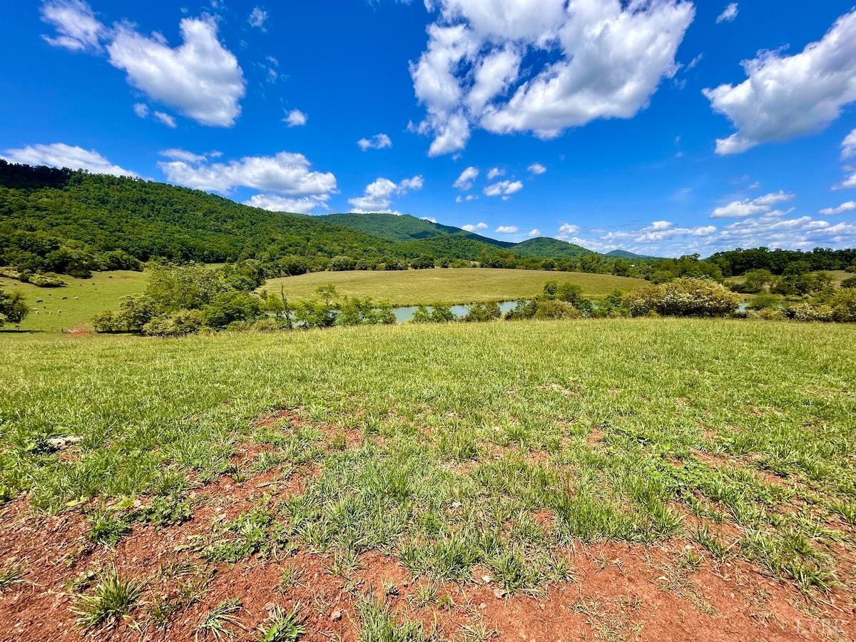 127 Albert Farm Road Monroe, VA 24574 - Photo 93 of 98