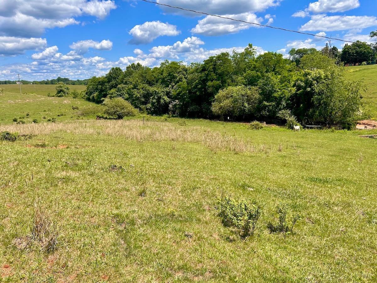 127 Albert Farm Road Monroe, VA 24574 - Photo 94 of 98 a view of a yard with an outdoor space