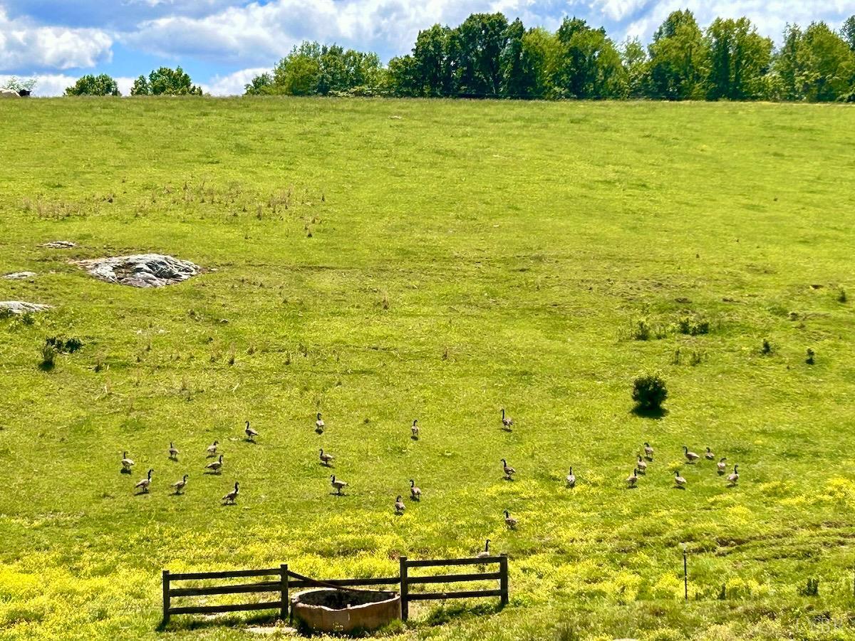 127 Albert Farm Road Monroe, VA 24574 - Photo 96 of 98