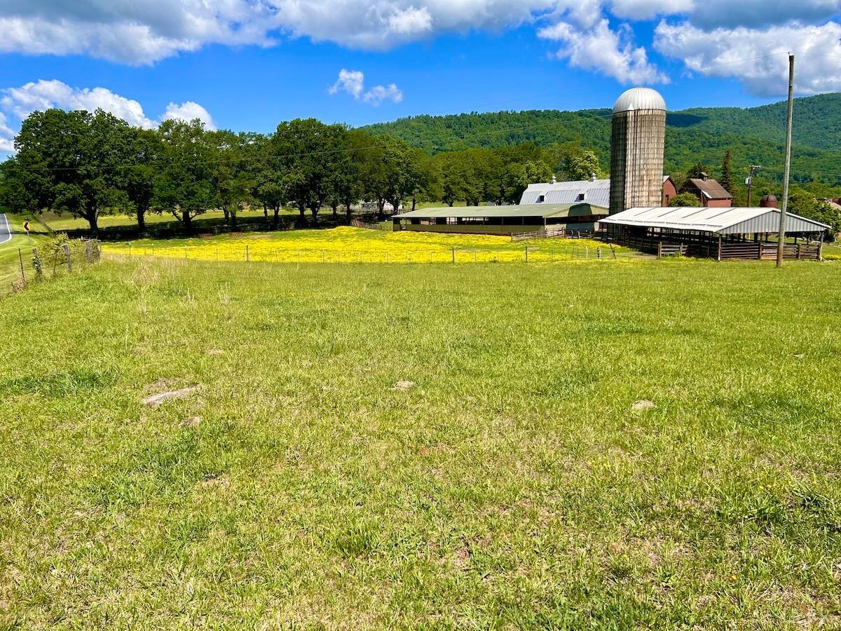 127 Albert Farm Road Monroe, VA 24574 - Photo 10 of 98