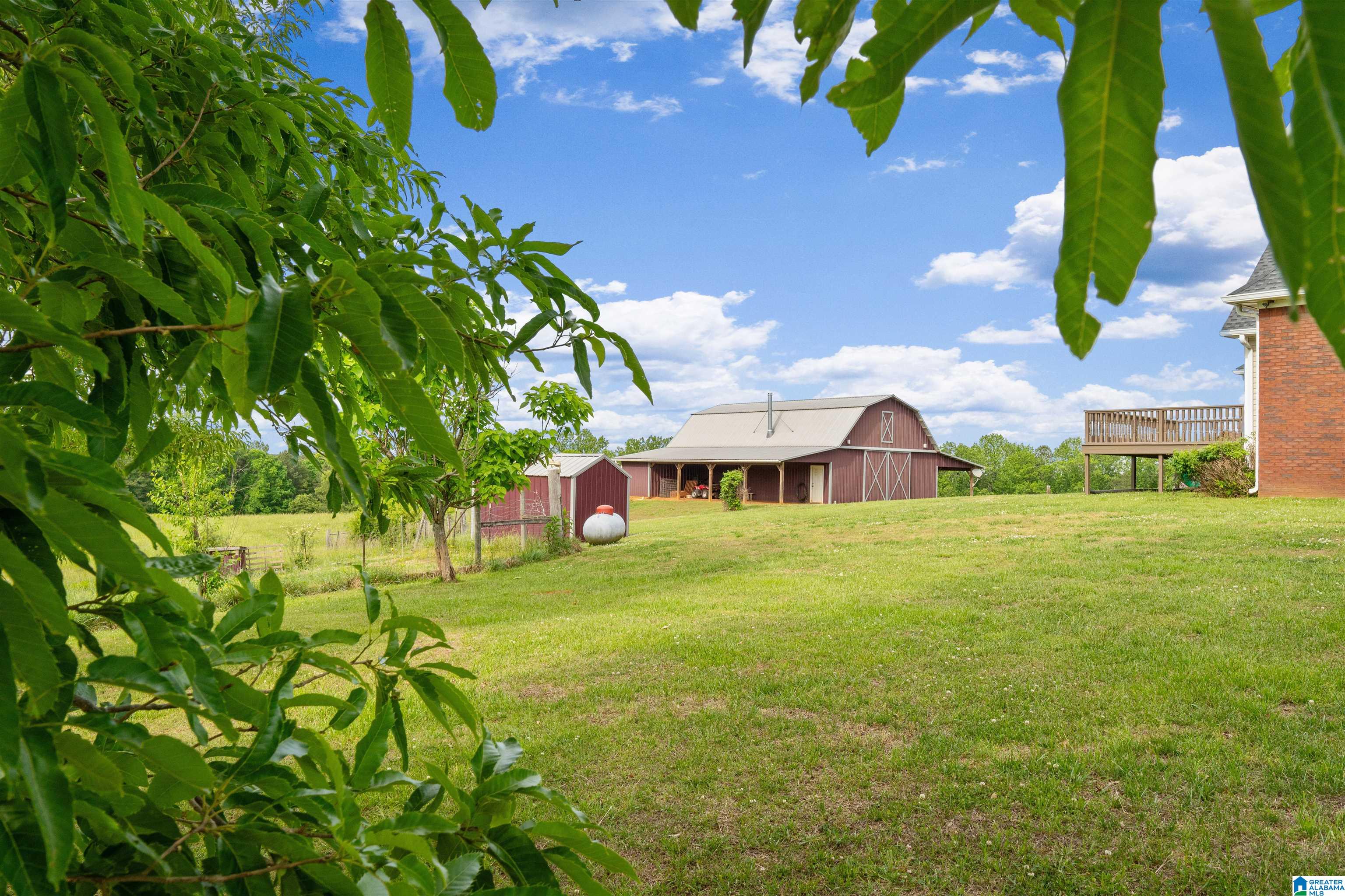 1435 County Road 633 Ranburne, AL 36273 - Photo 73 of 96