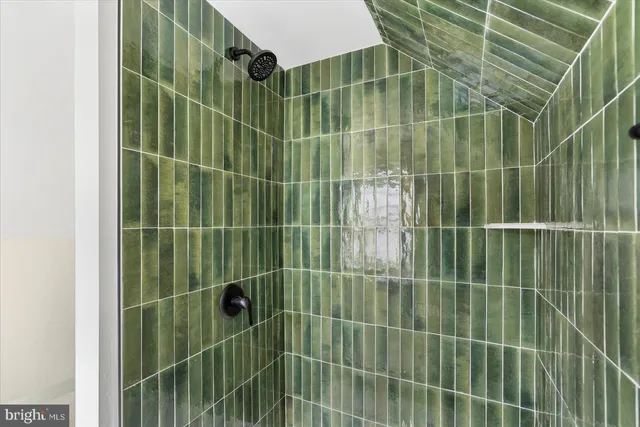 a view of bathroom with a shower