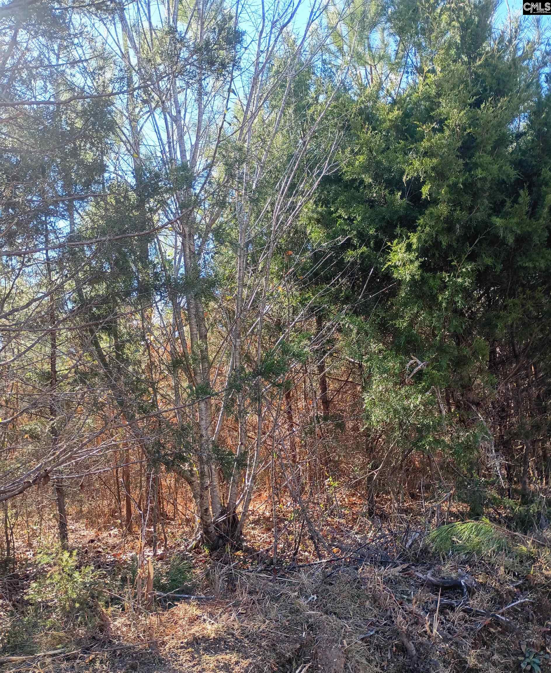 1163 June Berry Road Camden, SC 29020 - Photo 4 of 20
