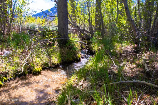 $485,000 | 371 Canyon Creek Court, Gardnerville, NV 89460