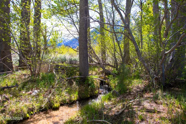 $485,000 | 371 Canyon Creek Court, Gardnerville, NV 89460