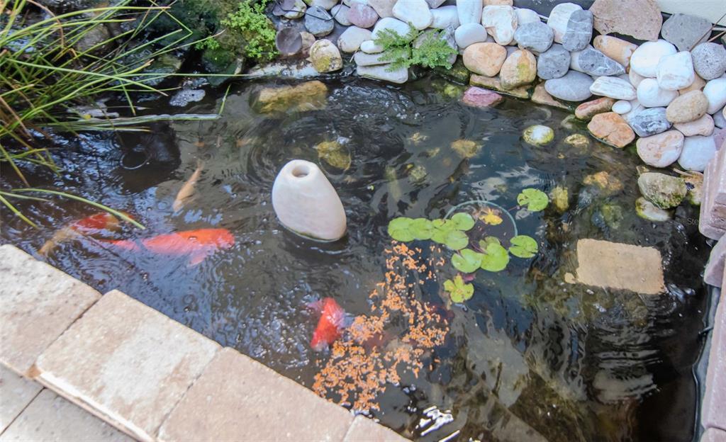 4527 Scarlet Loop Wesley Chapel, FL 33544 - Photo 44 of 57 a view of a wooden door in a backyard