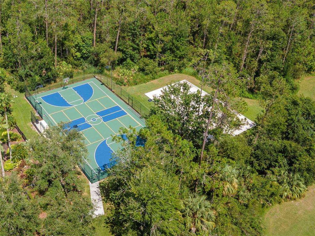 4527 Scarlet Loop Wesley Chapel, FL 33544 - Photo 50 of 57