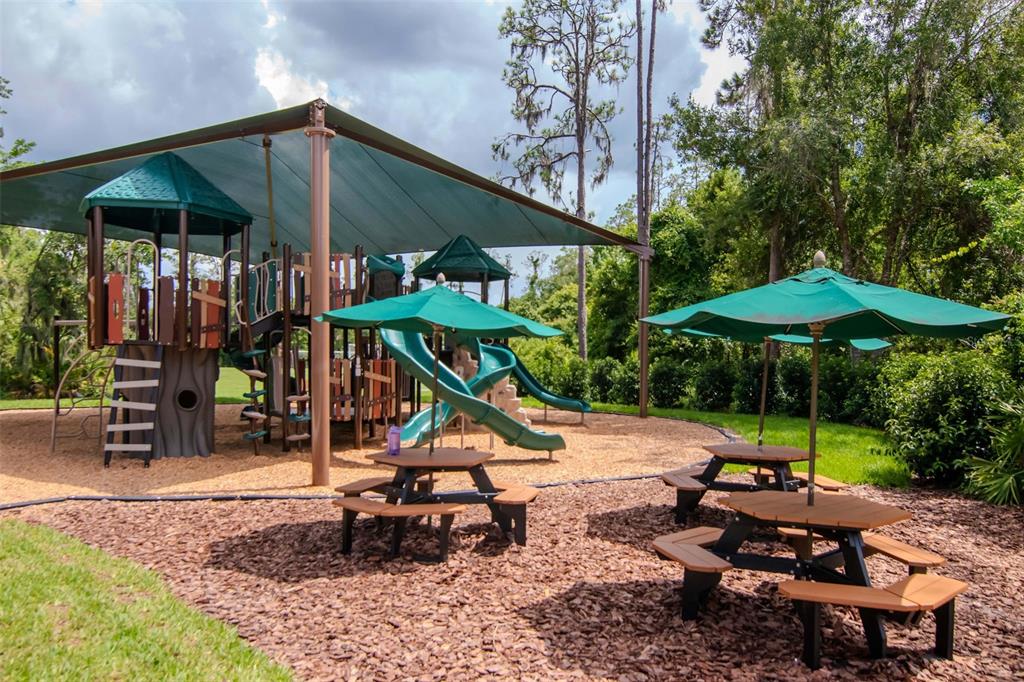 4527 Scarlet Loop Wesley Chapel, FL 33544 - Photo 54 of 57 an outdoor space with patio and umbrella