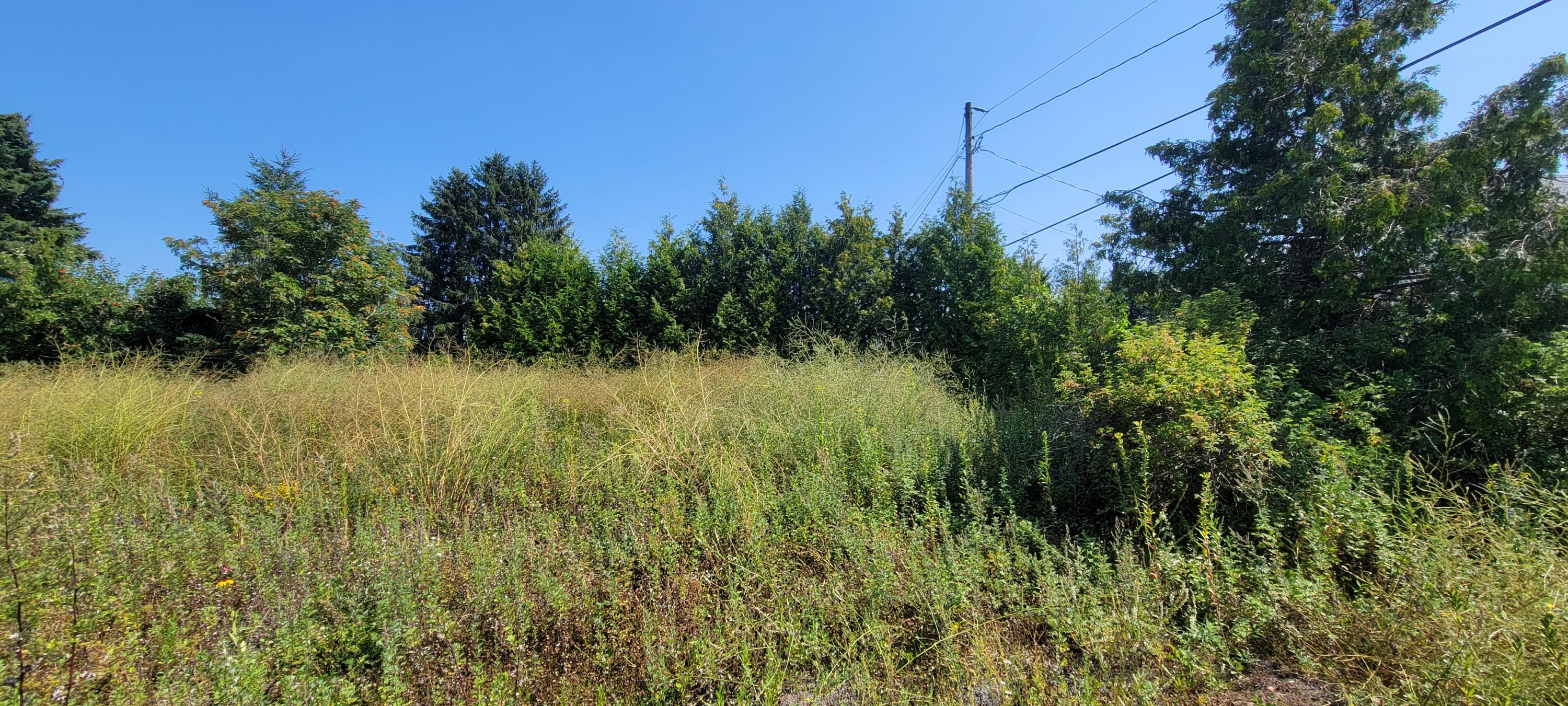 4 Notre Dame Road Grand Isle, ME 04746 - Photo 4 of 5 20250812_135057
