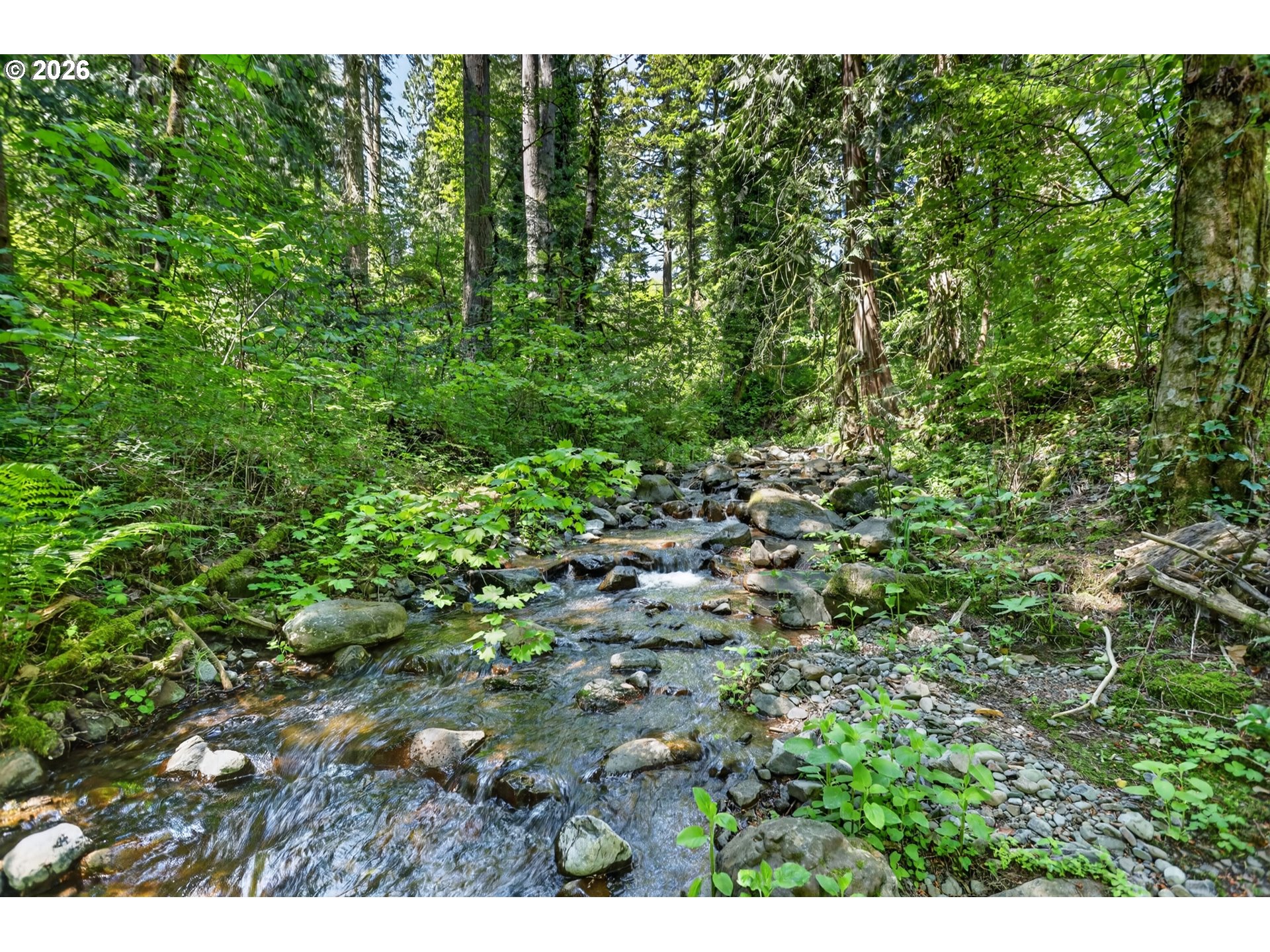 112 Carson Creek Road Carson, WA 98610 - Photo 48 of 48