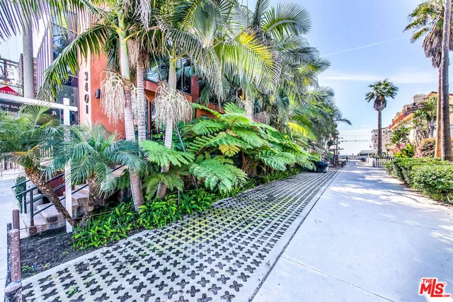 a couple of flower plants in front of a building