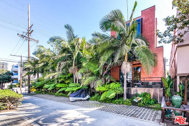 a plant on a street with potted plants