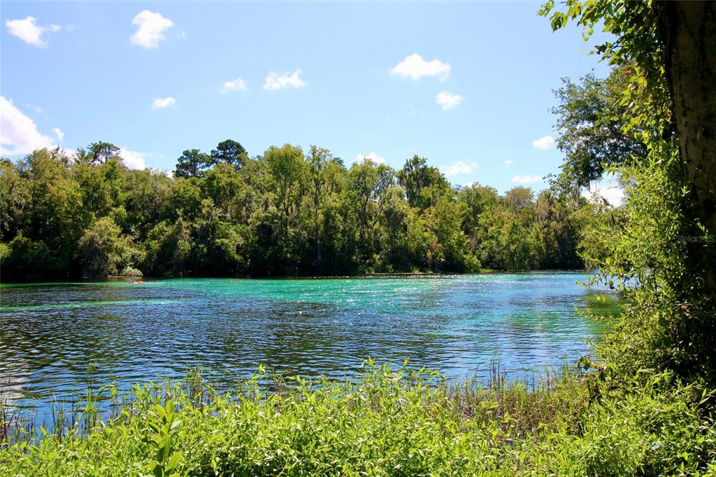 19786 Southwest 85th Loop Dunnellon, FL 34432 - Photo 71 of 91 Gallery Image 71