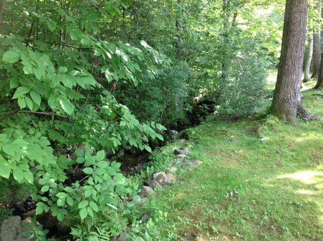 406 Eaton Road Swanzey, NH 03446 - Photo 21 of 26 Gallery Image 21
