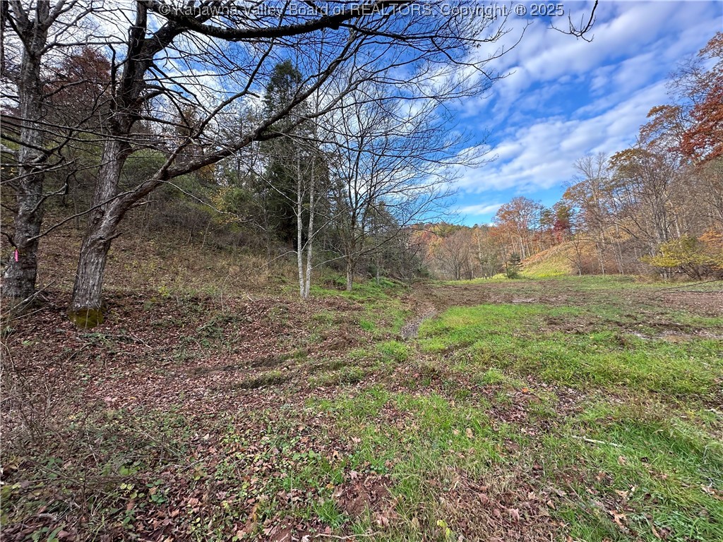 621 3 Mile Road Brohard, WV 26138 - Photo 48 of 48 Gallery Image 48