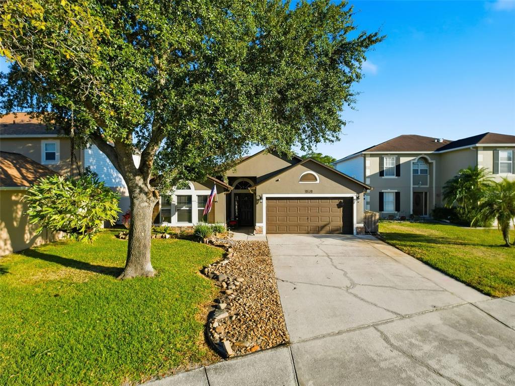 5407 Treig Lane Wesley Chapel, FL 33545 - Photo 3 of 70 a front view of a house with garden