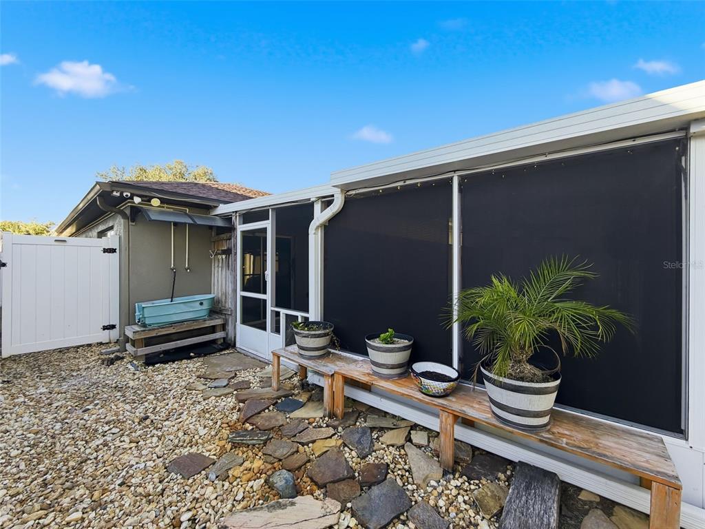 5407 Treig Lane Wesley Chapel, FL 33545 - Photo 55 of 70 a potted plant sitting in front of a house